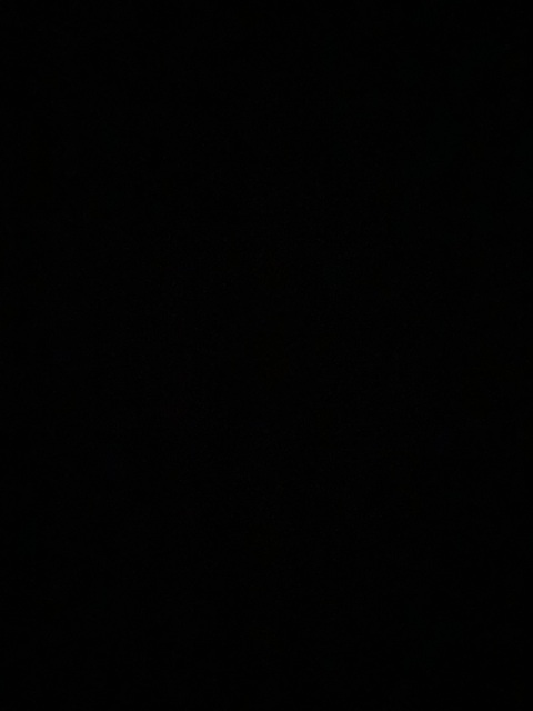 raelee header picture leakfans.com