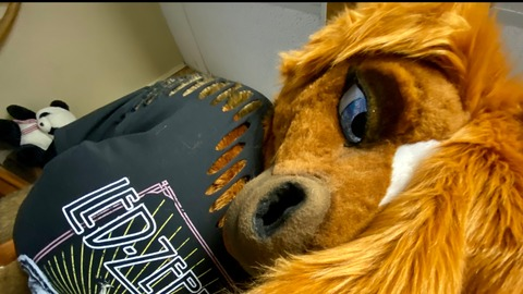 rain_horsie header picture leakfans.com