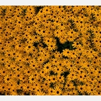 rainminina profile picture leakfans.com