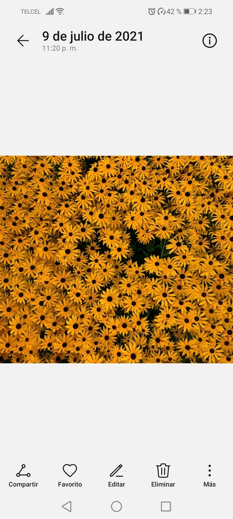 rainminina header picture leakfans.com