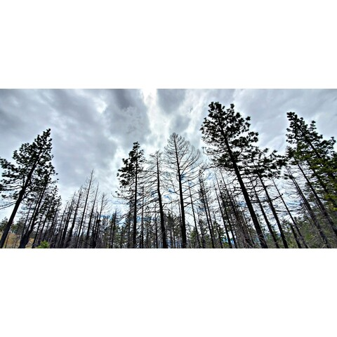 rainydawnpnw header picture leakfans.com