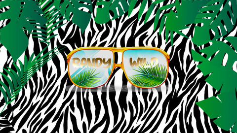 Header of randywild