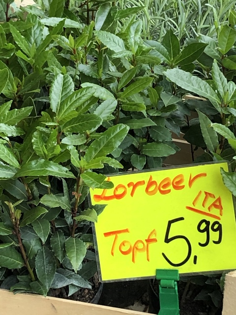 raweggeddy header picture leakfans.com