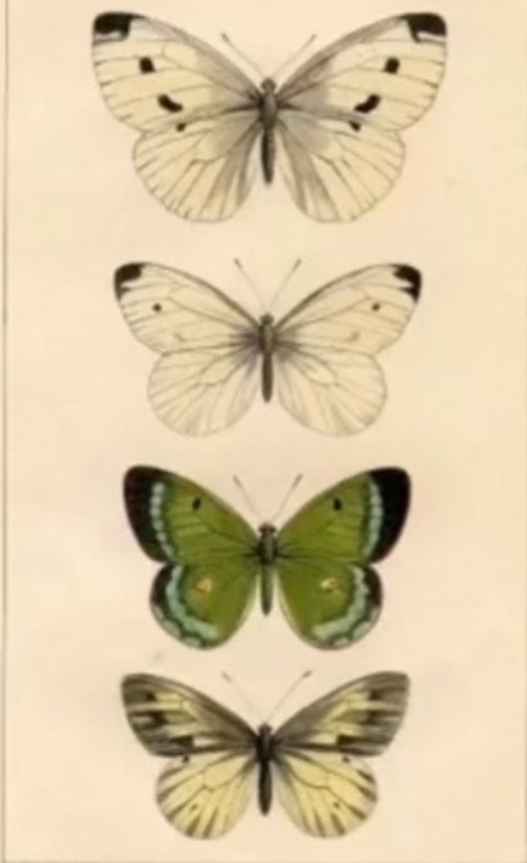 raybabyxo header picture leakfans.com