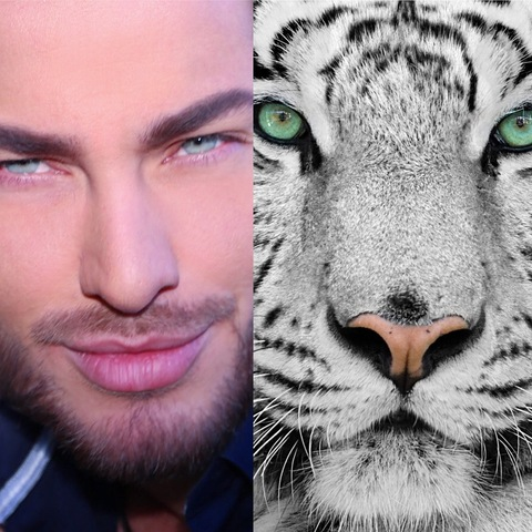 realhenrylicett header picture leakfans.com