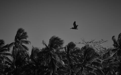 realmarkstonesgratis header picture leakfans.com