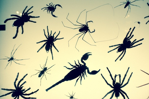 rebelrider91 header picture leakfans.com