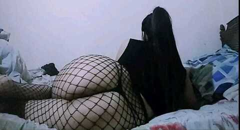 reborn_phoenix header picture leakfans.com