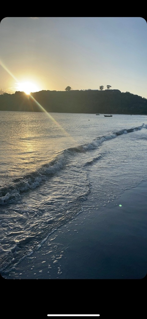 redrose09 header picture leakfans.com