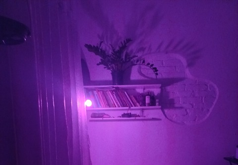 reflexdomite header picture leakfans.com