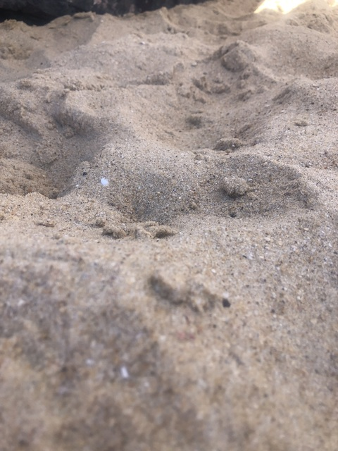 renee04 header picture leakfans.com