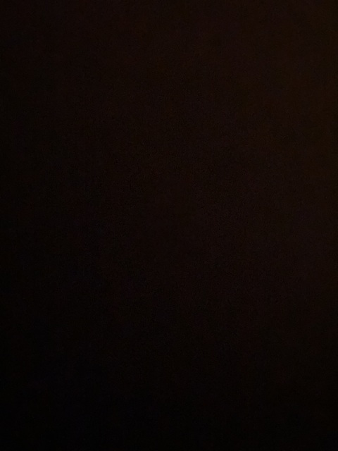 rexxxxxyyyy header picture leakfans.com