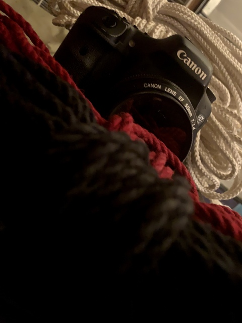 rigger_and_alpha header picture leakfans.com