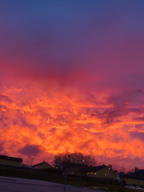 rikke.irene header picture leakfans.com