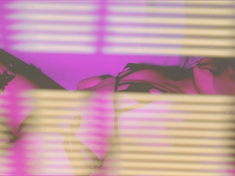 rinalaiin header picture leakfans.com