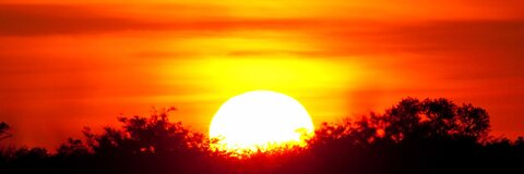 rinkink header picture leakfans.com