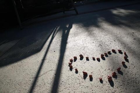 riogrande header picture leakfans.com