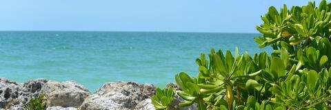 robfla header picture leakfans.com