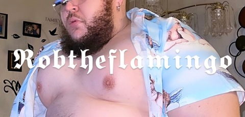 Header of robtheflamingo