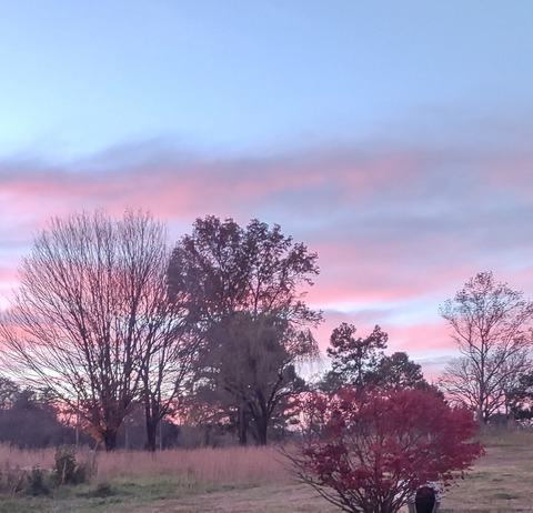 rockyliscious header picture leakfans.com