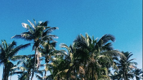 romanchun header picture leakfans.com