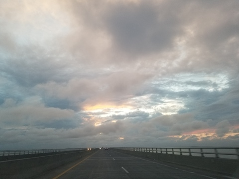 romanianinvasion header picture leakfans.com