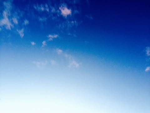 romano header picture leakfans.com