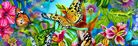 Header of rosaxxxmariposa