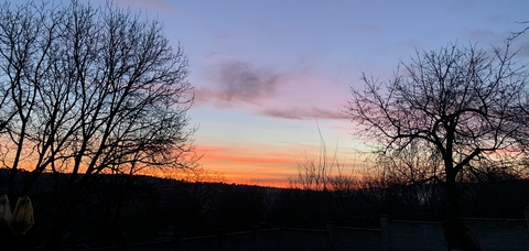 rose-rosy header picture leakfans.com