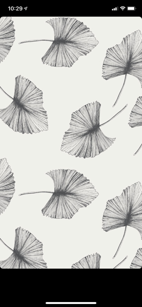 rose_sb header picture leakfans.com