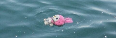 rosemary_iocco header picture leakfans.com