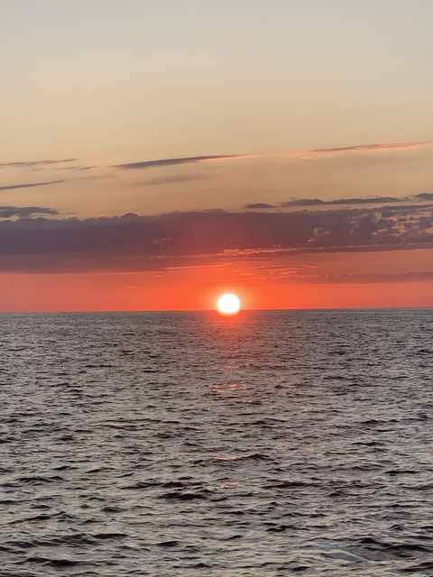 roseyredd header picture leakfans.com