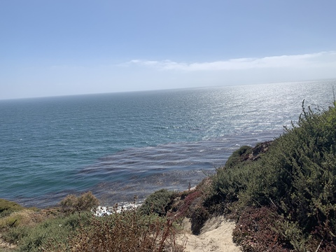 roughrios12 header picture leakfans.com