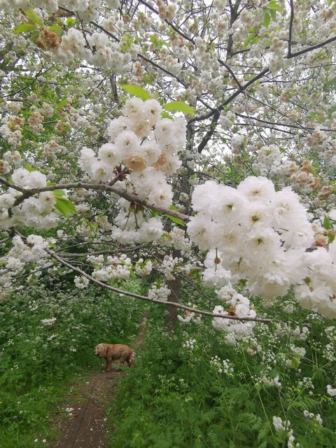 roxi3 header picture leakfans.com