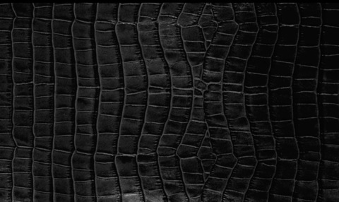 roxiep header picture leakfans.com