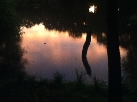 roxistarbaby header picture leakfans.com