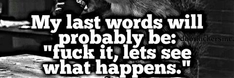 roy_spyder header picture leakfans.com