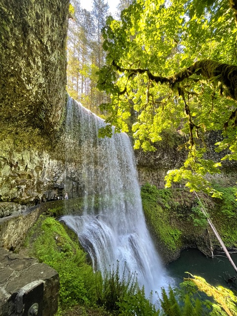 rr999 header picture leakfans.com