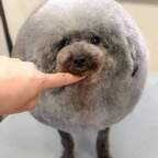 rudi68 profile picture leakfans.com