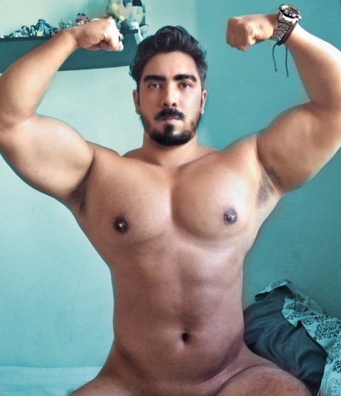 rudoincineroar header picture leakfans.com