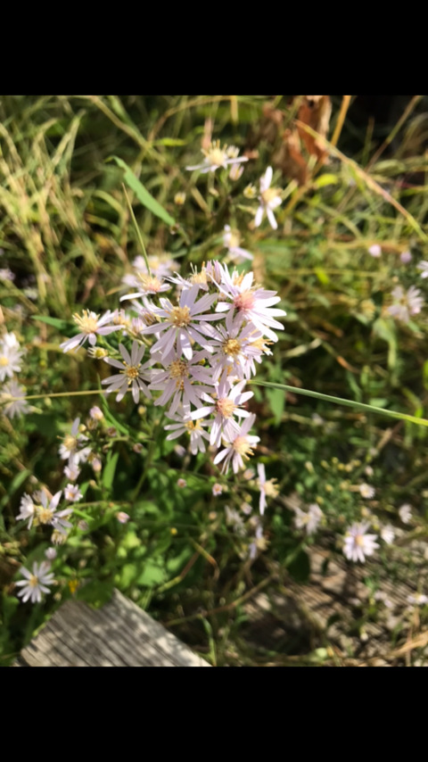 ryanhellbell header picture leakfans.com