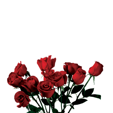 ryvnvndrew header picture leakfans.com