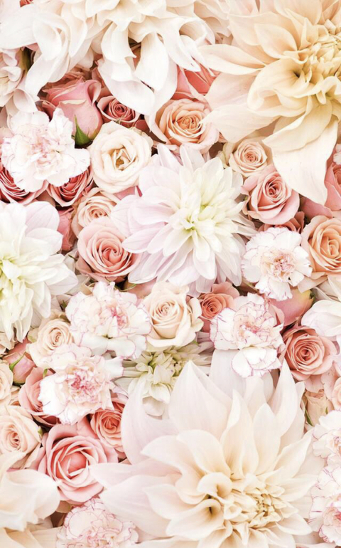 sadielouisee header picture leakfans.com