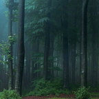 sadisticvisions profile picture leakfans.com