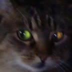 sadxsin profile picture leakfans.com