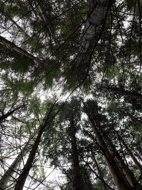 sadxsin header picture leakfans.com