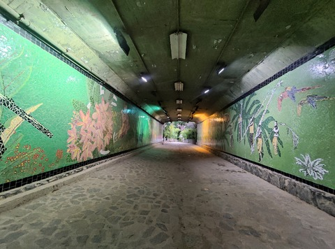 safado_pasivo header picture leakfans.com