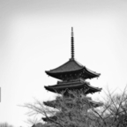 sailingtonarnia profile picture leakfans.com