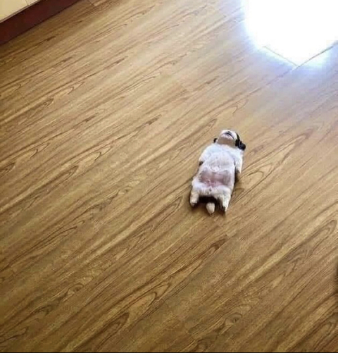 sailorcutie header picture leakfans.com