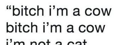 sailornewb1 header picture leakfans.com